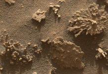 Марсоход Curiosity обнаружил камень, напоминающий коралл