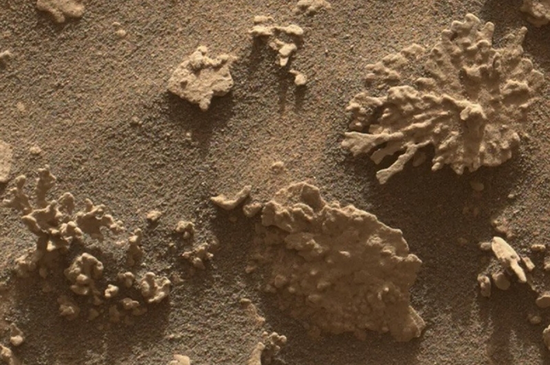 Марсоход Curiosity обнаружил камень, напоминающий коралл