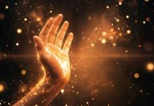 Учёные приблизились к созданию идеальной формы жизни