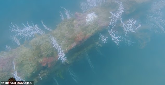 Археологи утверждают, что нашли Атлантиду?