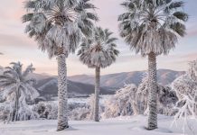 Грядет ледниковый период? Или нас ждет глобальное потепление?