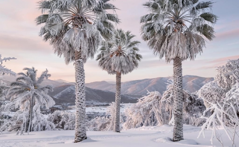 Грядет ледниковый период? Или нас ждет глобальное потепление?