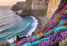 На Марсе было несколько периодов обитаемости, выяснили ученые