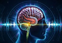 Простые ритмичные звуки могут изменить структуру всего мозга