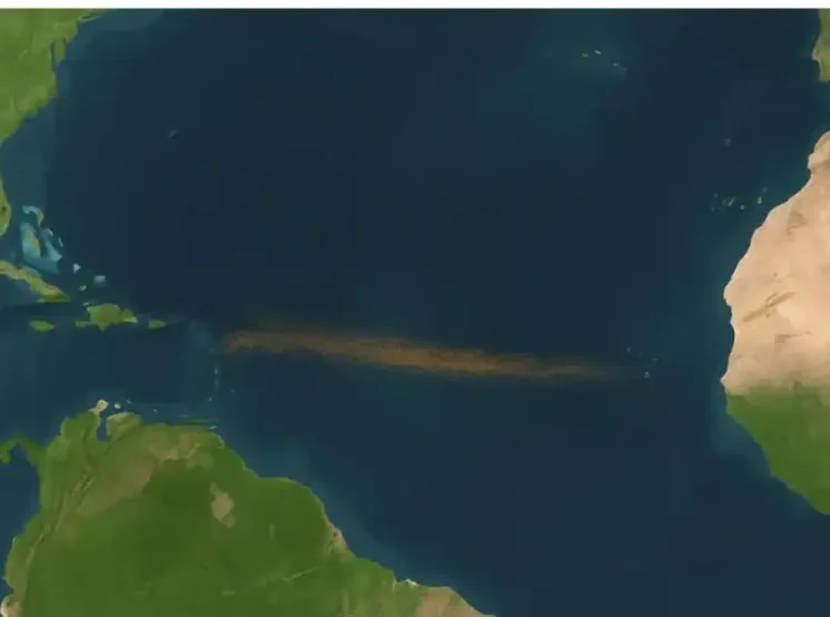 Гигантская полоса бурых водорослей пересекла Атлантику и видна из космоса