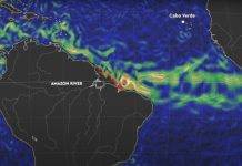 Гигантская полоса бурых водорослей пересекла Атлантику и видна из космоса