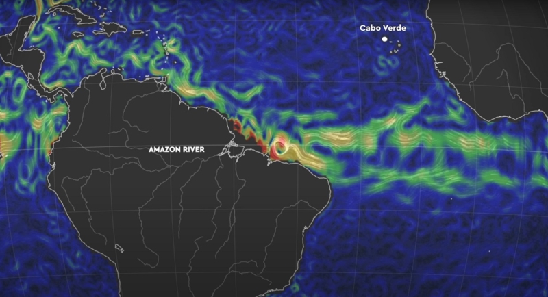 Гигантская полоса бурых водорослей пересекла Атлантику и видна из космоса