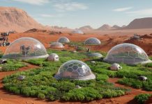 Можно ли превратить Марс в зеленую планету?