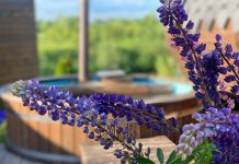 Баня с чаном: наслаждение природой и здоровьем