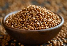 Учёные Татарстана представили новый сорт гречихи, устойчивый к жаркому климату