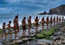 Учёные выяснили, откуда на самом деле пришли люди