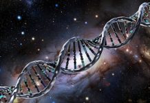 Учёный утверждает, что обнаружил доказательства присутствия внеземного ДНК в организме человека