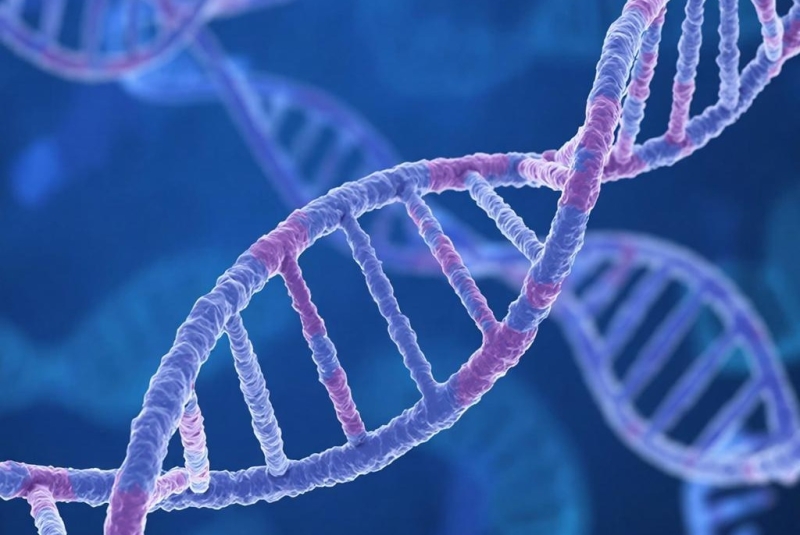 Эволюция продолжается: доказательства современной адаптации человечества