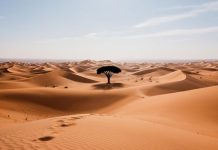 Сахара стала пустыней благодаря человеку, предполагают ученые