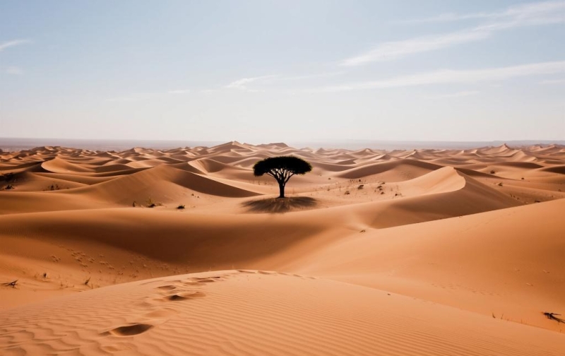 Сахара стала пустыней благодаря человеку, предполагают ученые