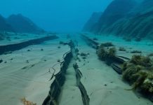 Ученые зафиксировали разрушение тектонической плиты в Тихом океане