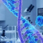 Искусственный интеллект выявил скрытые ДНК-конструкции, управляющие работой генов