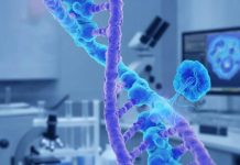 Искусственный интеллект выявил скрытые ДНК-конструкции, управляющие работой генов