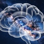 Новая теория сознания раскрывает тайну загробной жизни?