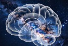 Новая теория сознания раскрывает тайну загробной жизни?