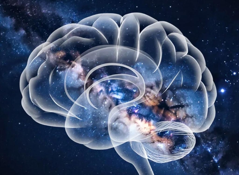 Новая теория сознания раскрывает тайну загробной жизни?