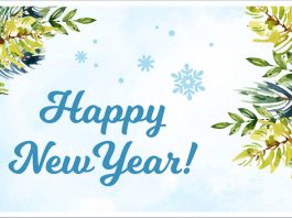 С наступающим Новым 2026 годом!