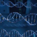 Ученые обнаружили, что у людей, доживших до 100 лет, больше ДНК охотников-собирателей