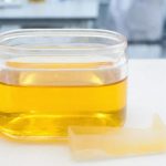 Учёные создали клей, способный выдержать вес легкового автомобиля