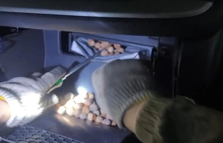 В Китае мужчина обнаружил, что его машина забита фундуком
