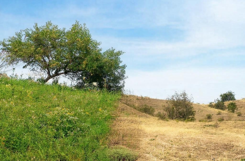 Времена года на Земле различаются даже на одной широте, обнаружили ученые