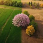 Времена года на Земле различаются даже на одной широте, обнаружили ученые