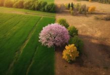 Времена года на Земле различаются даже на одной широте, обнаружили ученые