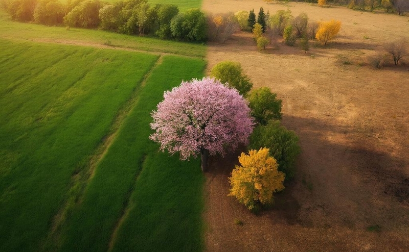 Времена года на Земле различаются даже на одной широте, обнаружили ученые