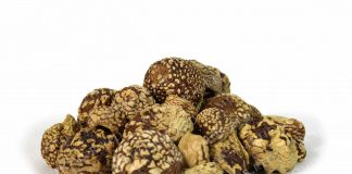 Мухоморы королевские: особенности, свойства и меры предосторожности