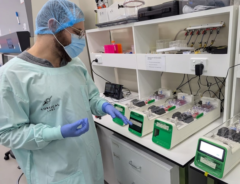 Австралийские ученые создали ИИ, использующий клетки человеческого мозга