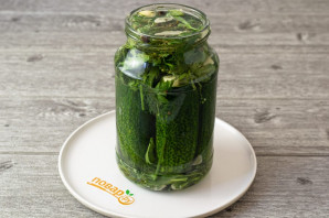 Быстрые малосольные огурцы в рассоле