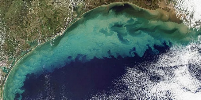 Где на планете возникают мертвые зоны