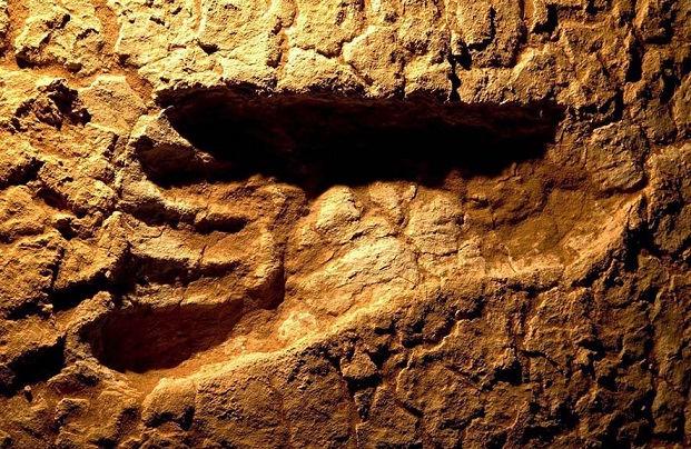 Климатические изменения стали причиной миграции человека из Африки