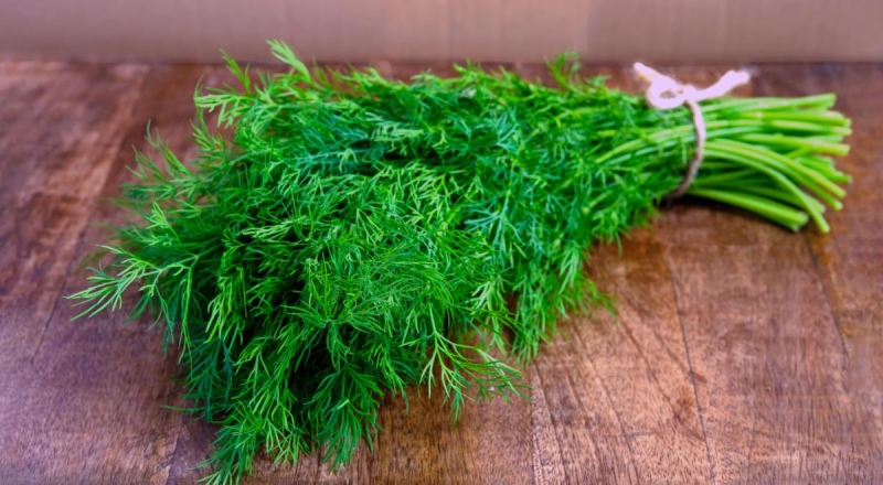 Кому без укропа не обойтись, и почему его называют &laquo;чистильщиком&raquo; &mdash; читать на Gastronom.ru