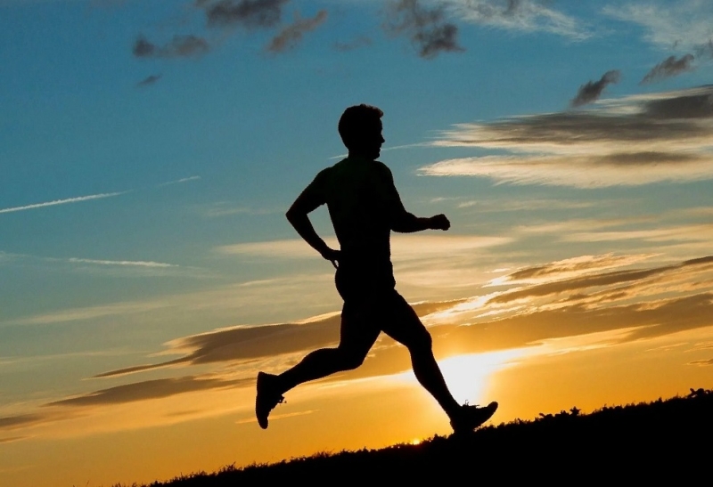 Люди, рожденные быть бегунами: как эволюция превратила нас в марафонцев