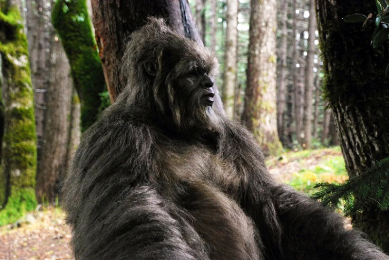 Охотник из Миссисипи запечатлел &laquo;снежного человека&raquo; в лесу