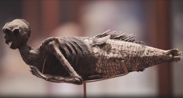 Откуда в музеях мира взялись мумии и скелеты русалок