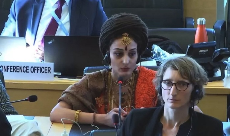 Представители вымышленной страны присутствовали на заседании в ООН