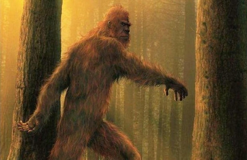 &laquo;Снежный человек&raquo; наблюдал за семьей в Канаде: правда или мистификация?