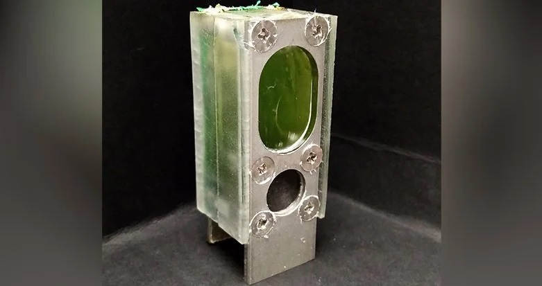 Создан компьютер, работающий на энергии водорослей