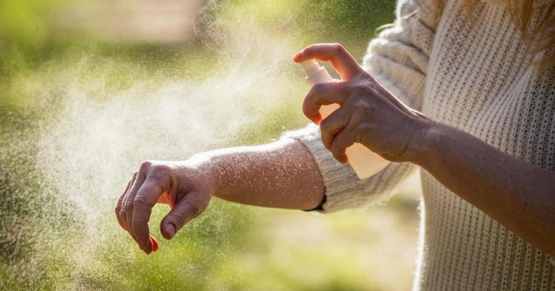 Ученые обнаружили новый способ борьбы с клещами