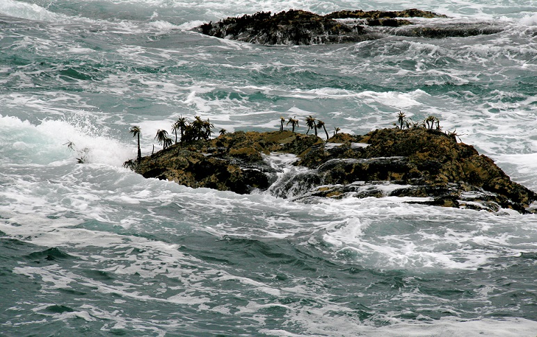 Уровень мирового океана за один год поднялся на 0,27 сантиметра 