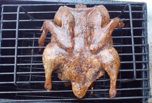 Утка горячего копчения в домашних условиях