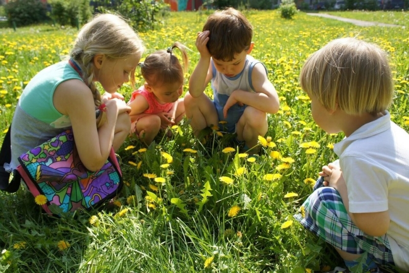В детских садах вырастили леса, что повлияло на иммунную систему детей