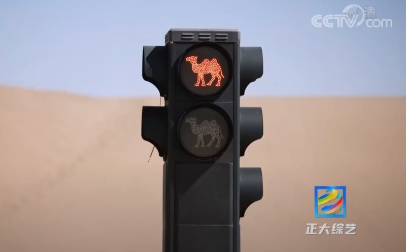 В Китае установили верблюжьи светофоры